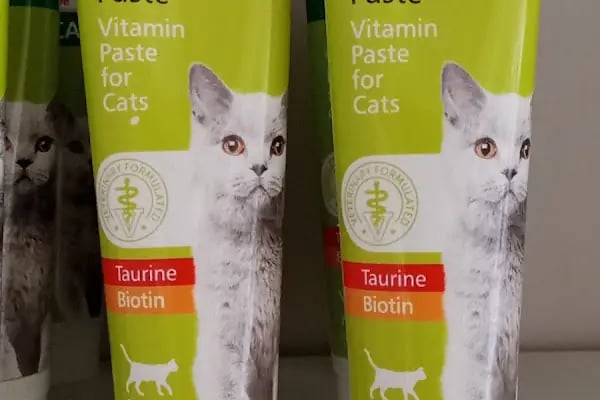 Dağlar Veteriner Kliniği - Resim 14