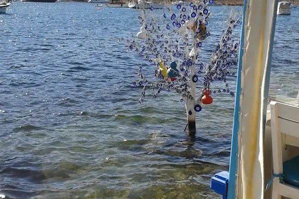 GÜMÜŞLÜK BALIK RESTAURANT - Resim 2