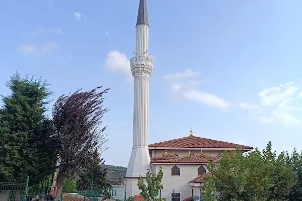 Abdülhamid Han Cami - Resim 2