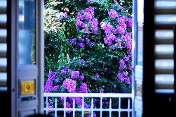 RasimBey Köşkü - Resim 12