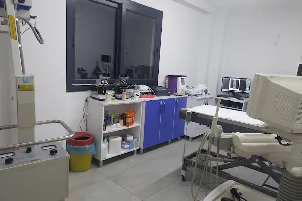 ARVEN VETERİNER KLİNİĞİ BODRUM - Resim 5