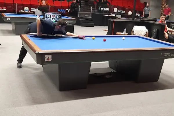 Türkiye Bilardo Federasyonu - Resim 16