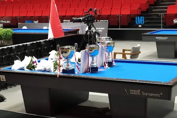 Türkiye Bilardo Federasyonu - Resim 8