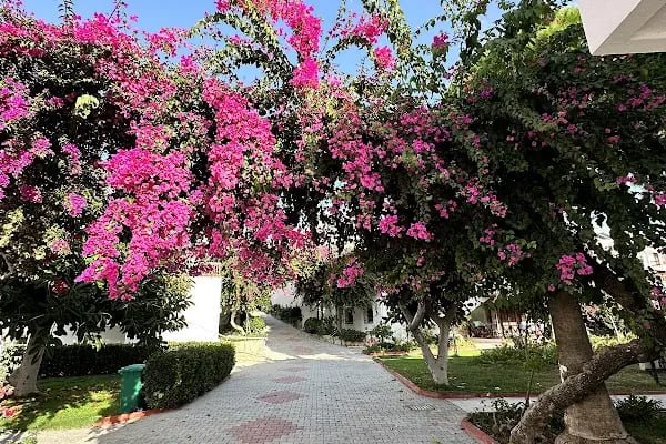 Fuğla 1 Sitesi - Resim 7