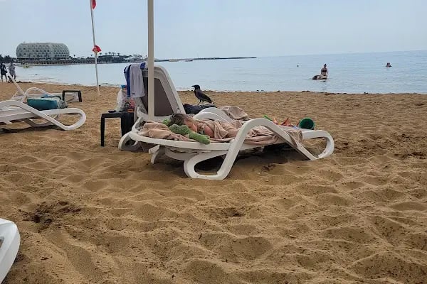 Fuğla 1 Sitesi - Resim 13