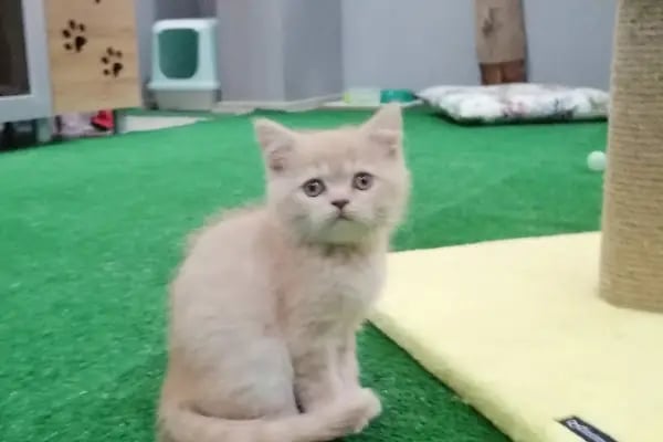 May Akvaryum Petshop Pet Hotel - Resim 4