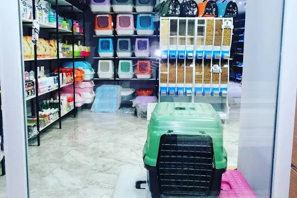 May Akvaryum Petshop Pet Hotel - Resim 8