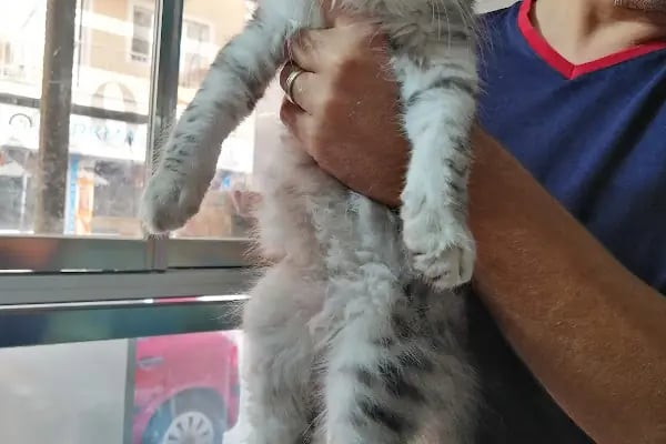 May Akvaryum Petshop Pet Hotel - Resim 10