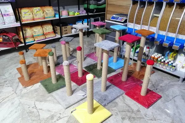 May Akvaryum Petshop Pet Hotel - Resim 3