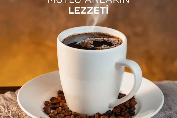 Arolez Gıda Sanayi ve Ticaret AŞ - Resim 13