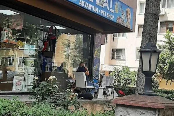 Seval Akvaryum - Resim 2