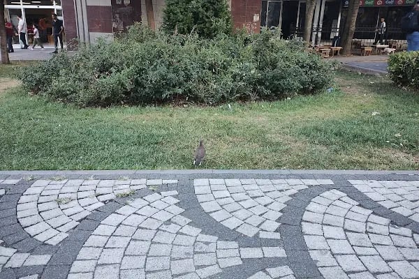 Güneşli Meydan Parkı - Resim 6