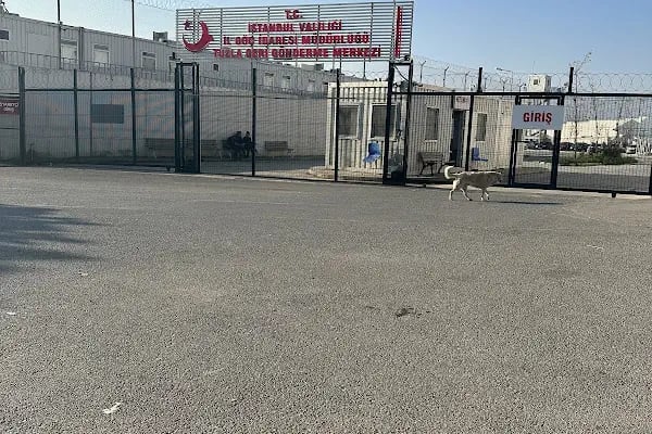 İstanbul Göçmen İdaresi Tuzla Geri Gönderme Merkezi - Resim 2