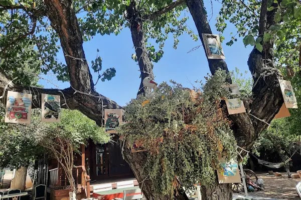 Şehr-i Ayaz Restoran Çiçekli köy Kahvaltı - Resim 11