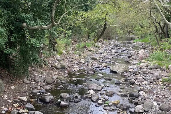 Şehr-i Ayaz Restoran Çiçekli köy Kahvaltı - Resim 10