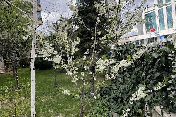 Silver Residence - Resim 4