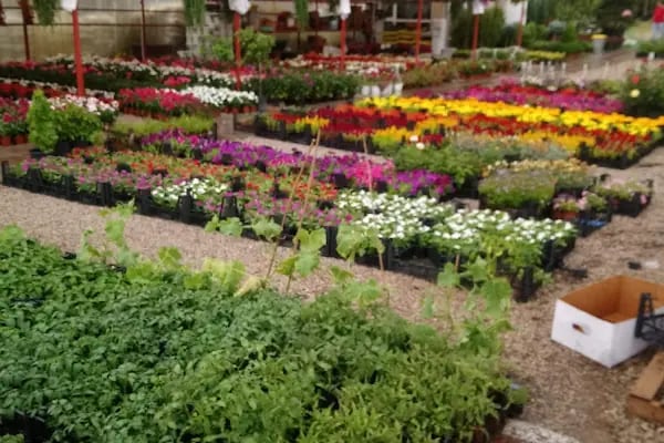 Çayyolu Petshop - Resim 2