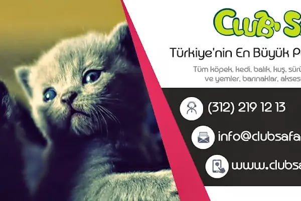 Çayyolu Petshop - Resim 5