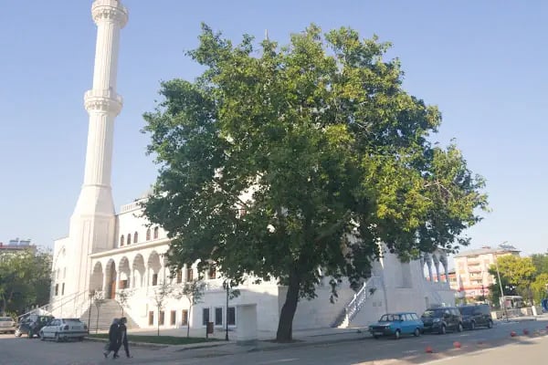 Ashab-ı Kehf Külliye Camii - Resim 11