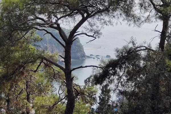 Buyukada view point - Resim 9