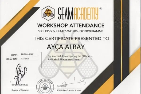 Uzm. Fzt. Ayça Albay, Fizyoterapi Ve Rehabilitasyon - Resim 16