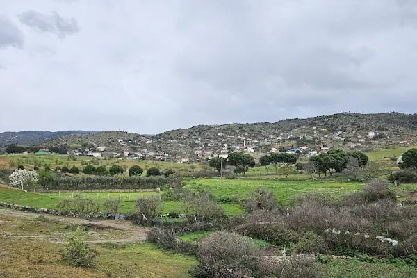 Akçaabat Köyü Muhtarlığı - Resim 2