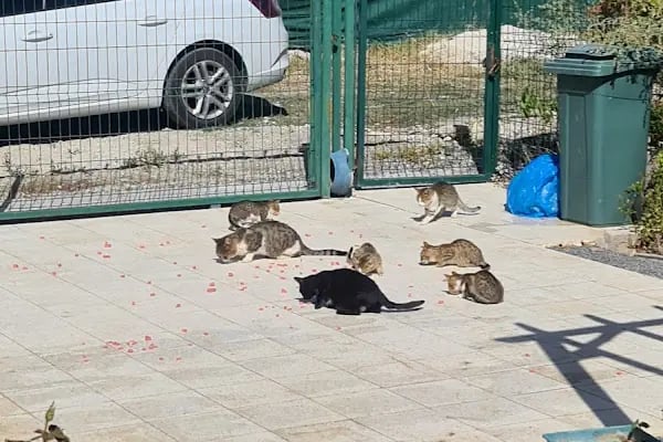 Elit Gözde Sitesi - Resim 12