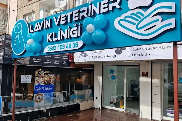 Lavin Mamak Veteriner Kliniği - Resim 3
