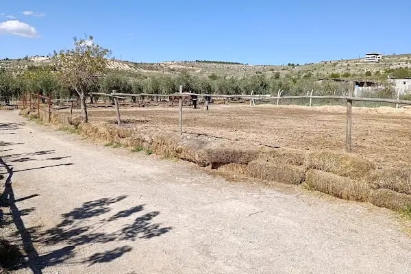 Gazi Binicilik Spor Kulübü & Anadolu Team Gaziantep - Resim 9