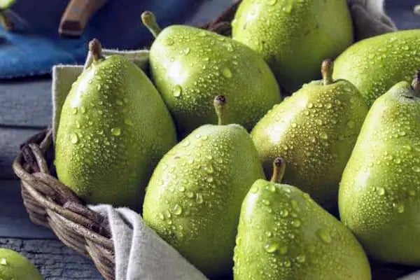 Tekefe Soğuk Hava Tesisleri - Resim 13