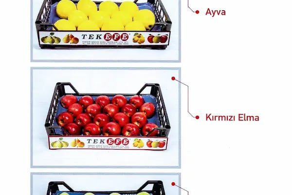 Tekefe Soğuk Hava Tesisleri - Resim 18