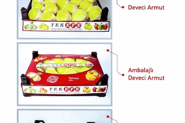 Tekefe Soğuk Hava Tesisleri - Resim 20