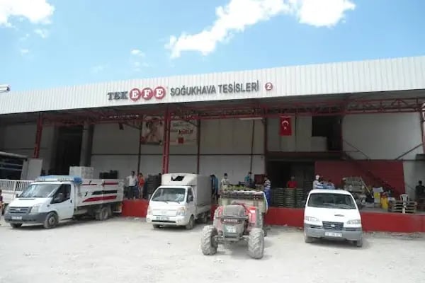 Tekefe Soğuk Hava Tesisleri - Resim 5