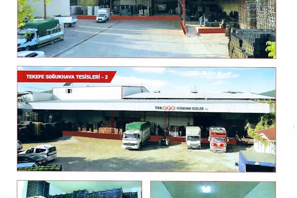 Tekefe Soğuk Hava Tesisleri - Resim 17
