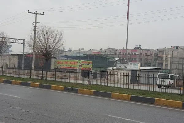 Sebze Pazarı - Resim 10