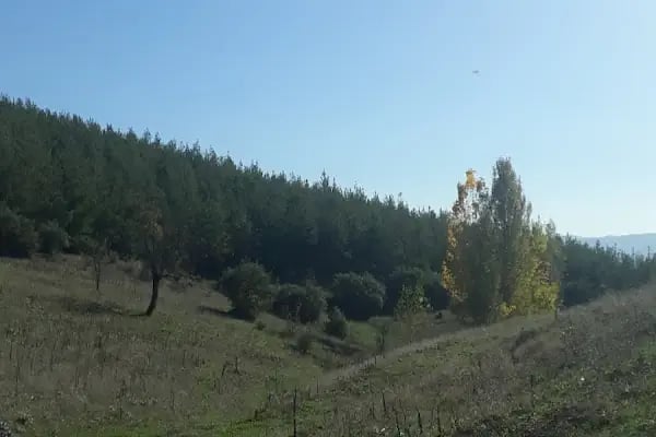 Gedikören - Resim 16
