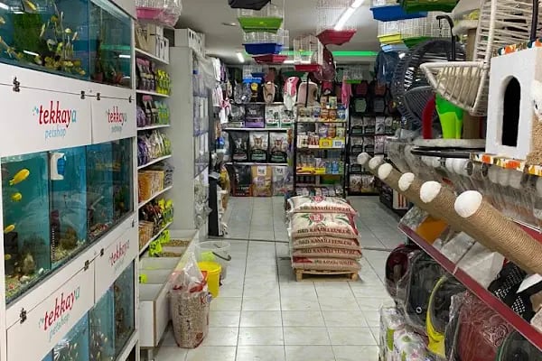 PURSAKLAR TEKKAYA PETSHOP - Resim 8