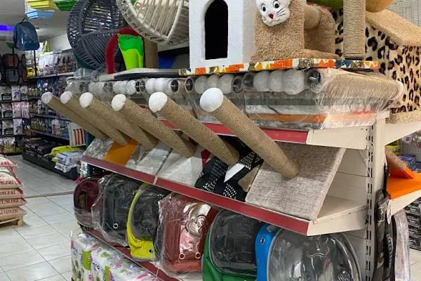 PURSAKLAR TEKKAYA PETSHOP - Resim 5