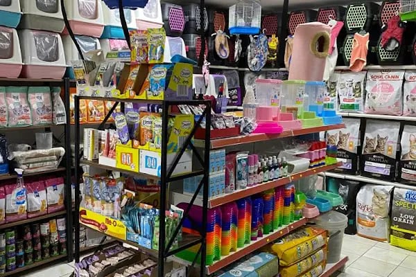PURSAKLAR TEKKAYA PETSHOP - Resim 17
