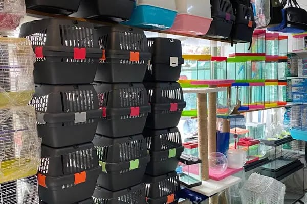PURSAKLAR TEKKAYA PETSHOP - Resim 14