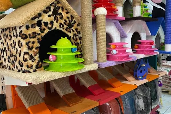 PURSAKLAR TEKKAYA PETSHOP - Resim 4