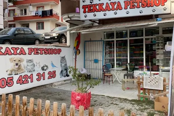 PURSAKLAR TEKKAYA PETSHOP - Resim 1
