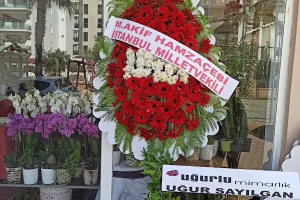 Mersin Çiçek 33 Çiçekçilik - Resim 4