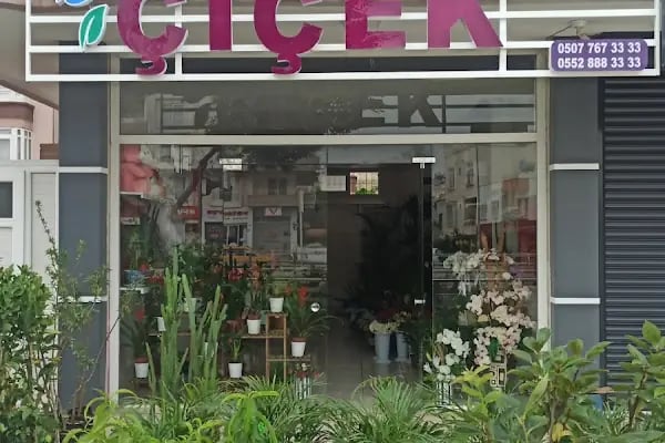 Mersin Çiçek 33 Çiçekçilik - Resim 2