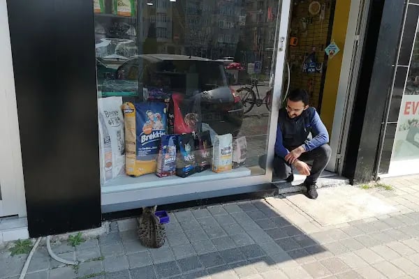 İnegöl Veteriner Muayenehanesi - Resim 8
