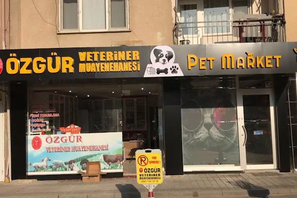 İnegöl Veteriner Muayenehanesi - Resim 12