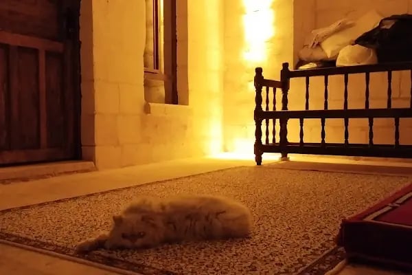 Taştepeler Hotel - Resim 11