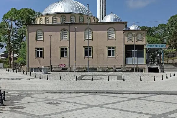 Boyalık Mahallesi Cami - Resim 2