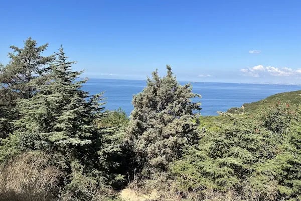 Hristos Rum Manastırı - Resim 8