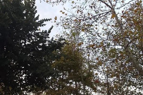 Bahçecik Terfi İstasyonu - Resim 16